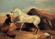 Sir Edwin Landseer Arab stable ion oil painting picture wholesale